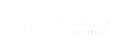 DST, Domingos da Silva Teixeira